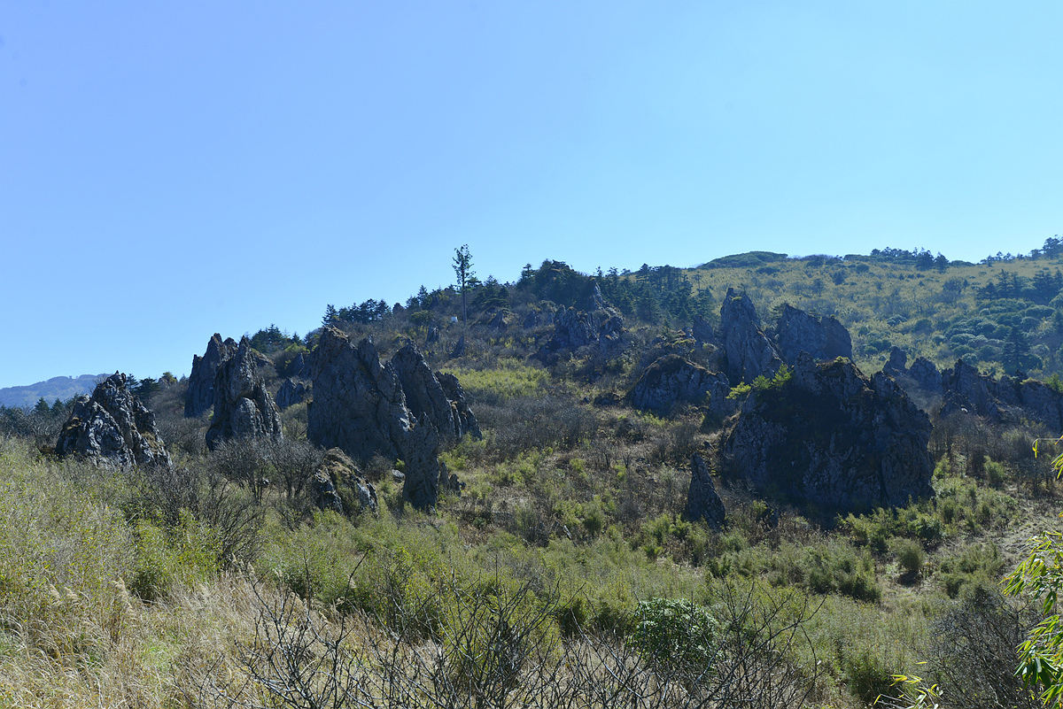 _DSC2953__.jpg