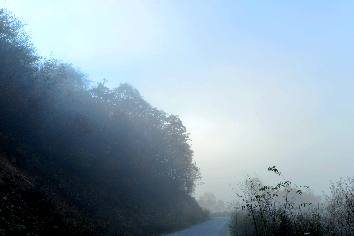_DSC2905__.jpg