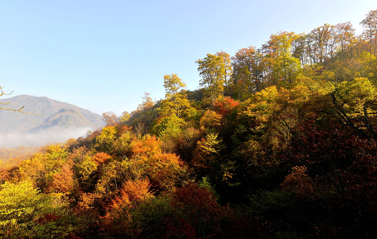 _DSC2535_.jpg