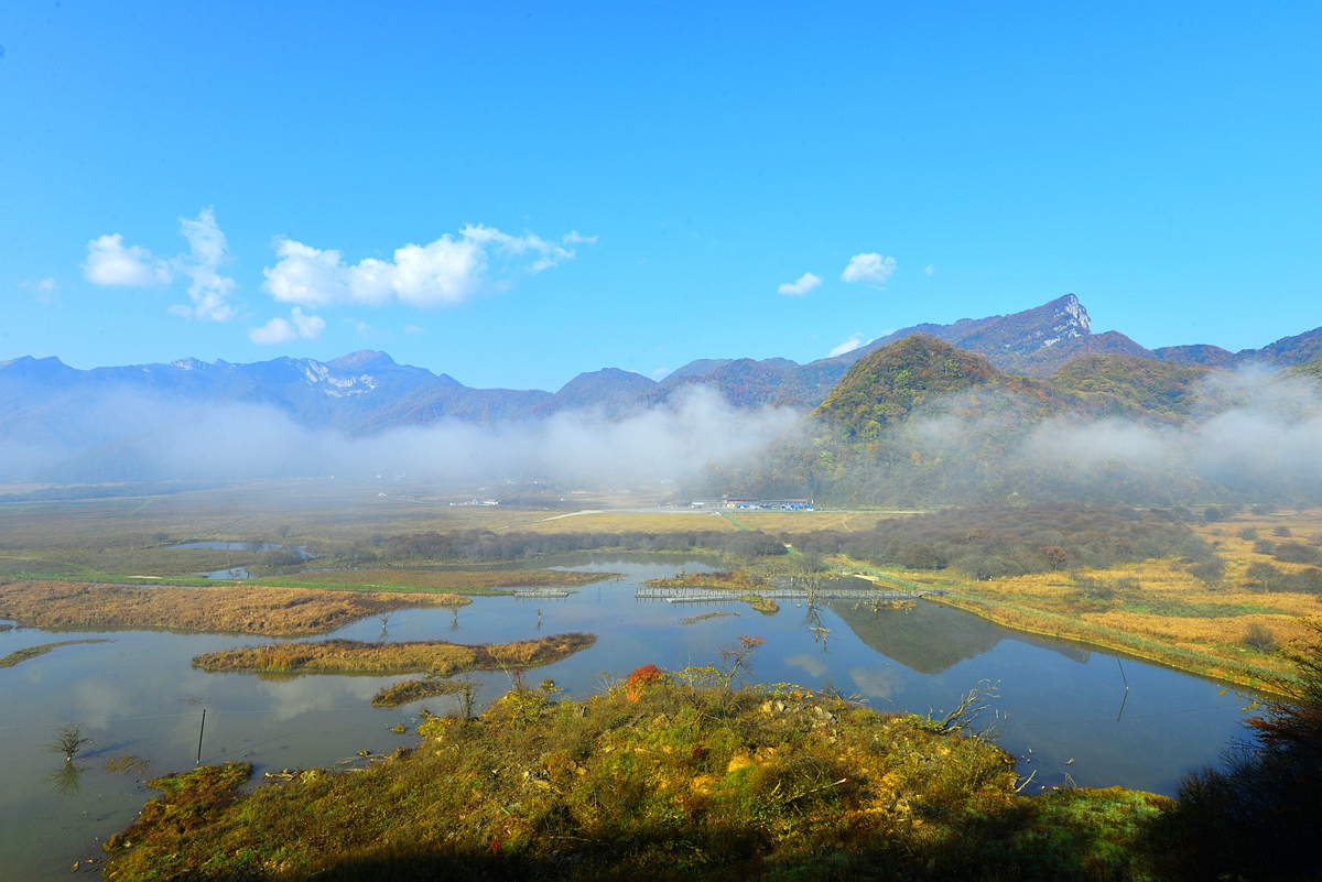 _DSC2555_.jpg