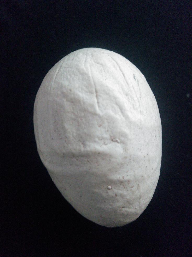 这就是传说中的彗星蛋?