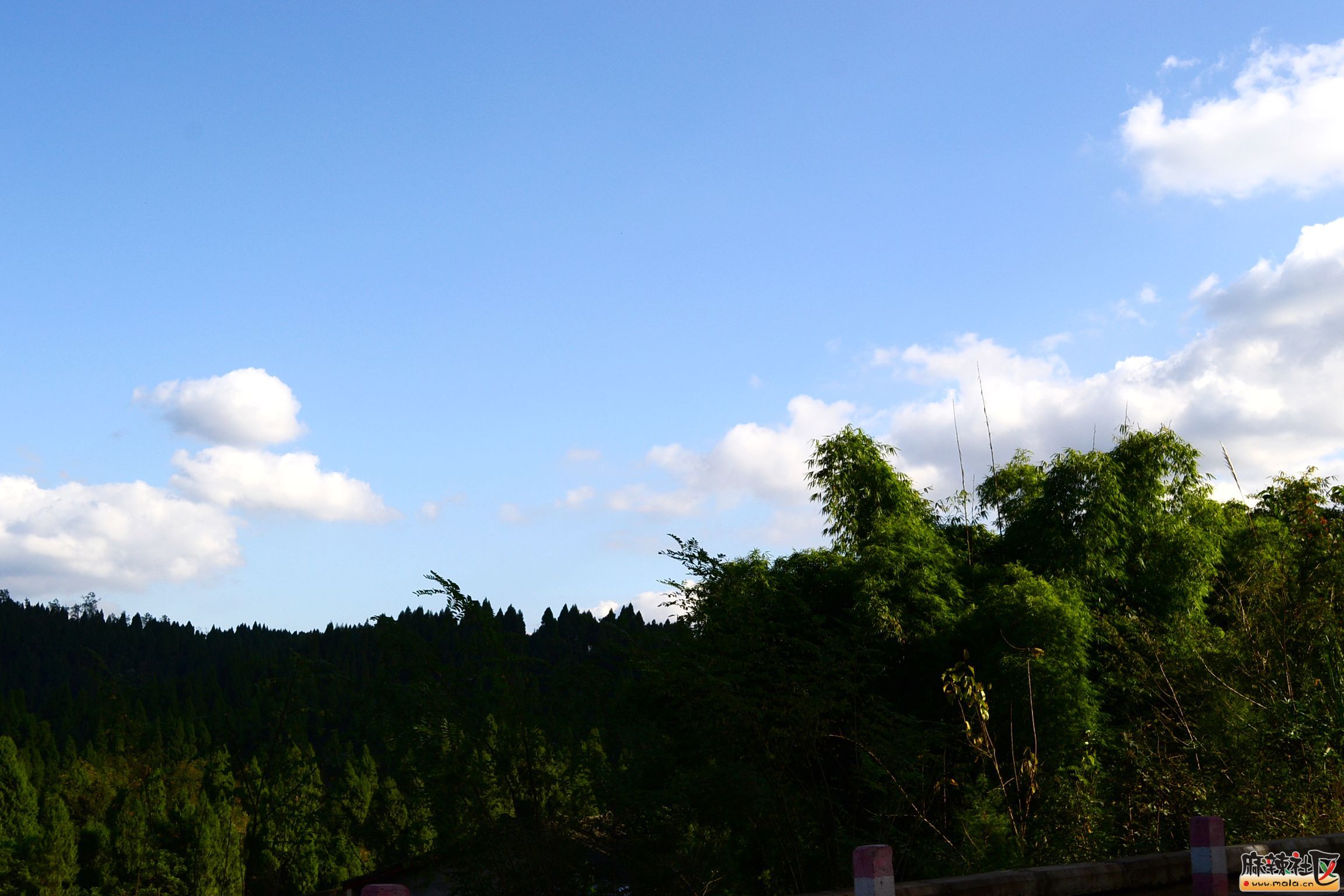 DSC_3957.JPG