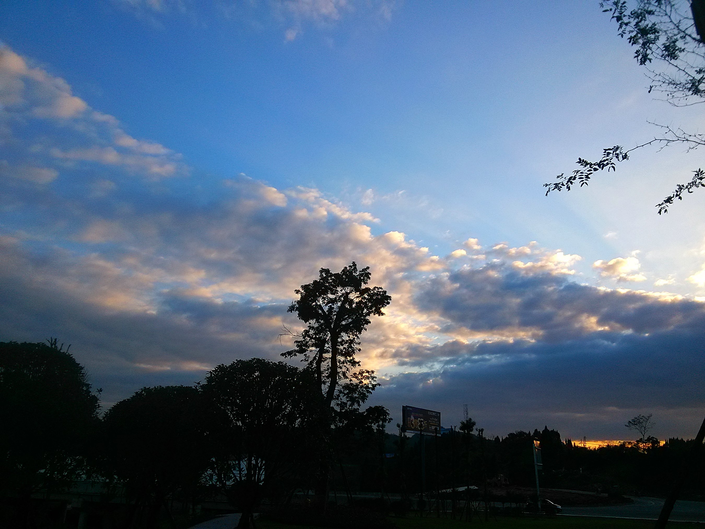 IMG_20151108_172749.jpg