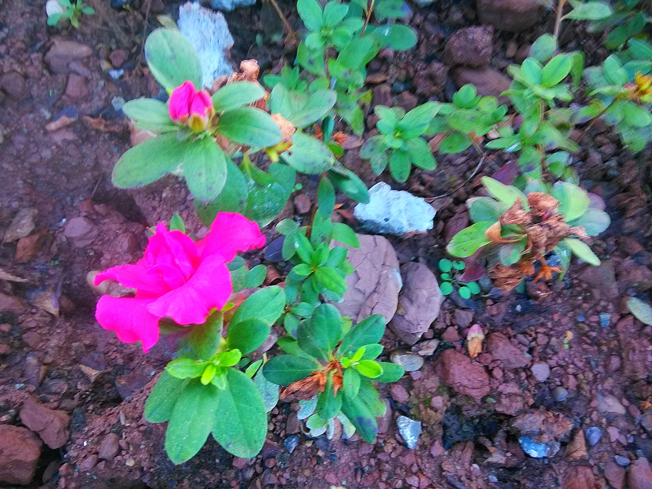 IMG_20151108_173536.jpg