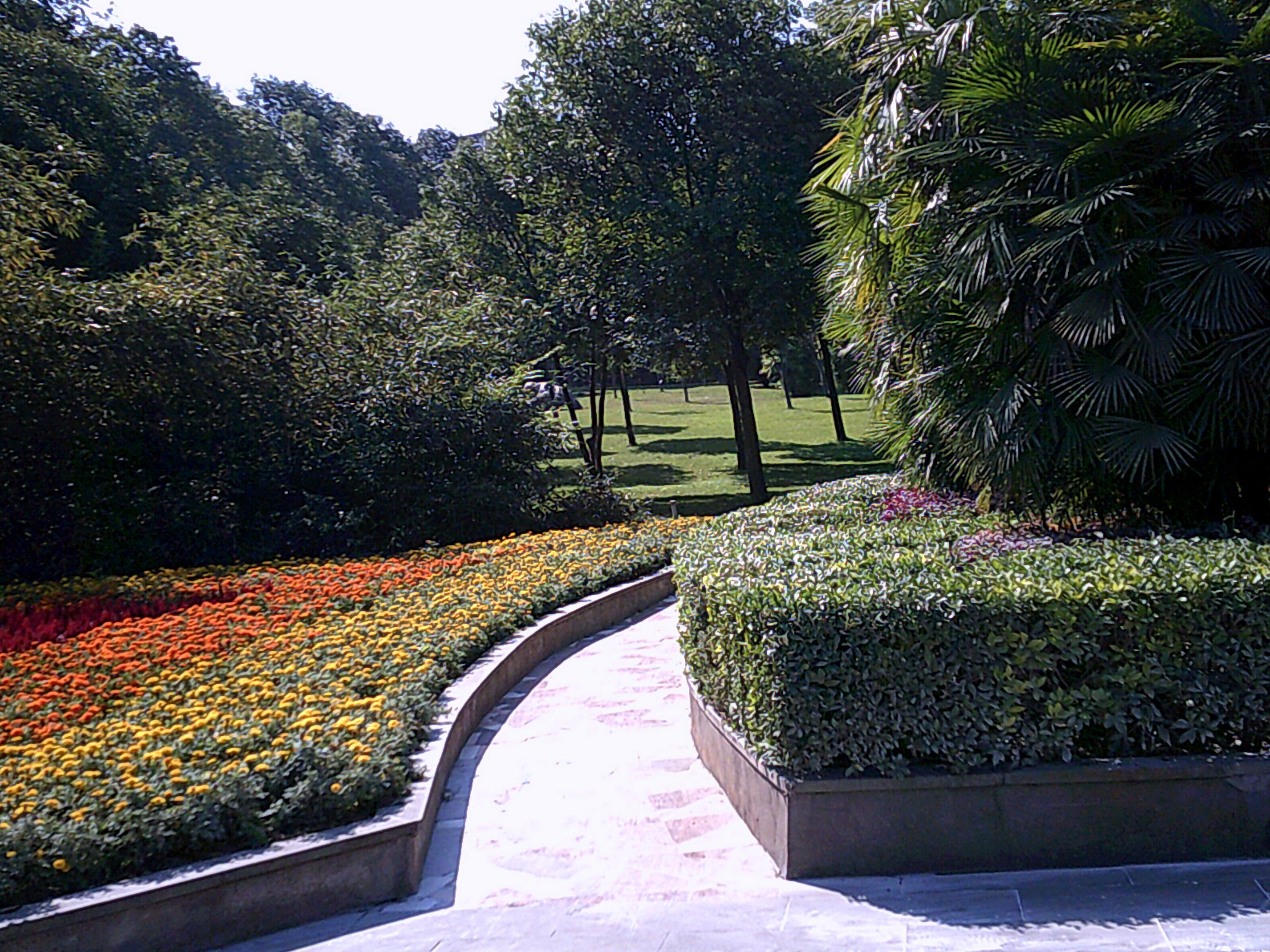 DSCF0188.JPG