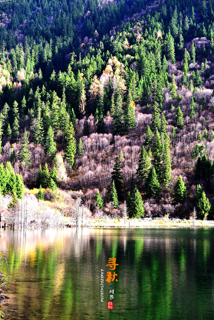 DSC_1292.jpg