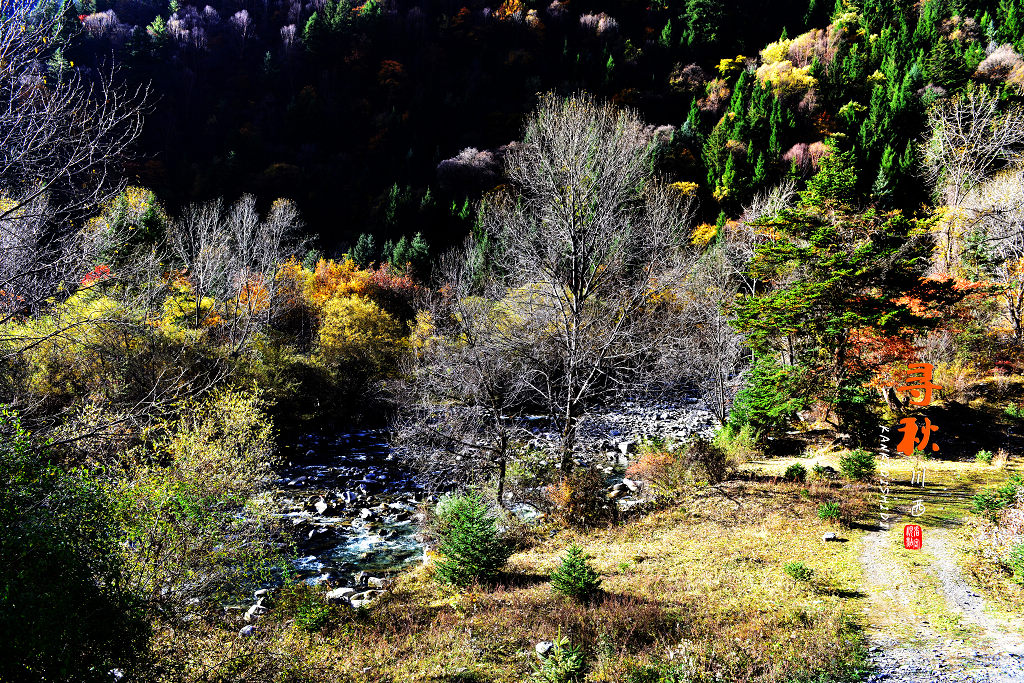 DSC_1394.jpg