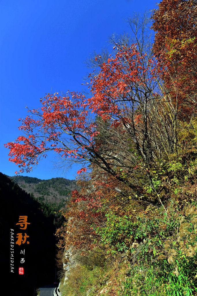 DSC_1422.jpg