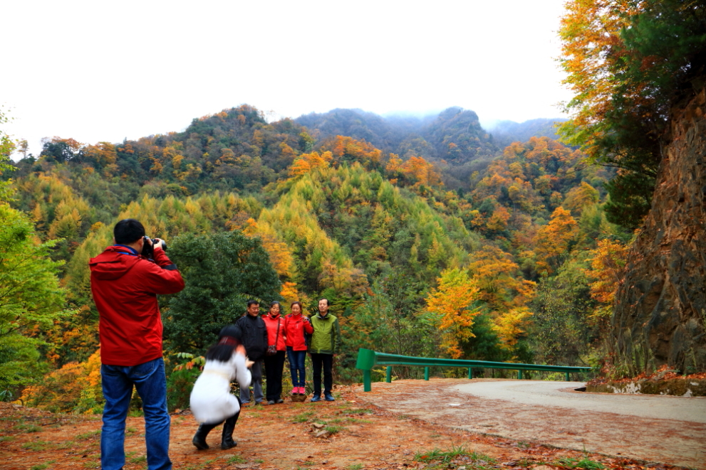 Ф鲨06.JPG