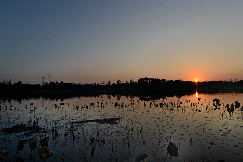 DSC_3764_.jpg