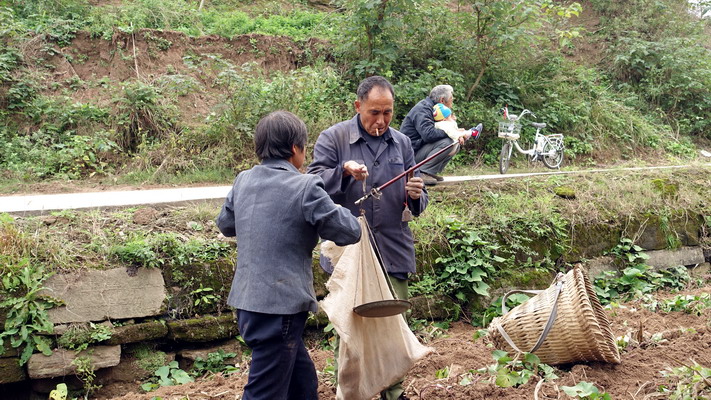 DSC09301.jpg
