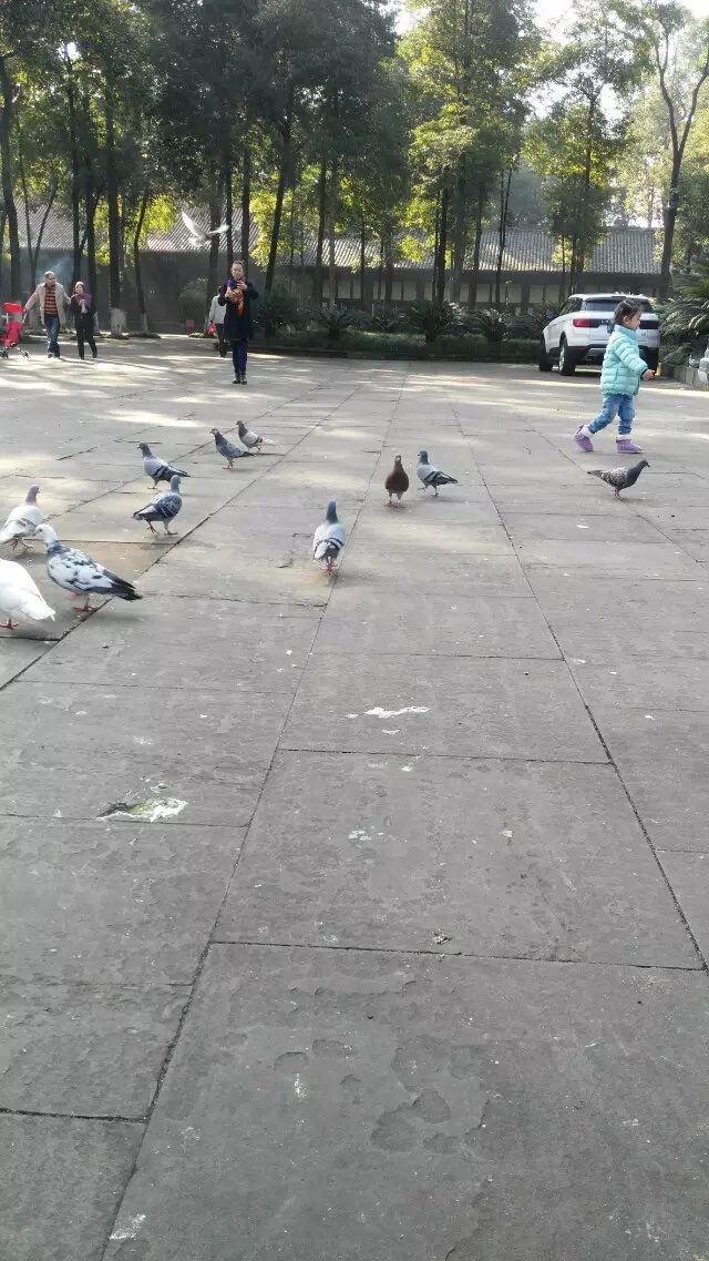 image.jpeg