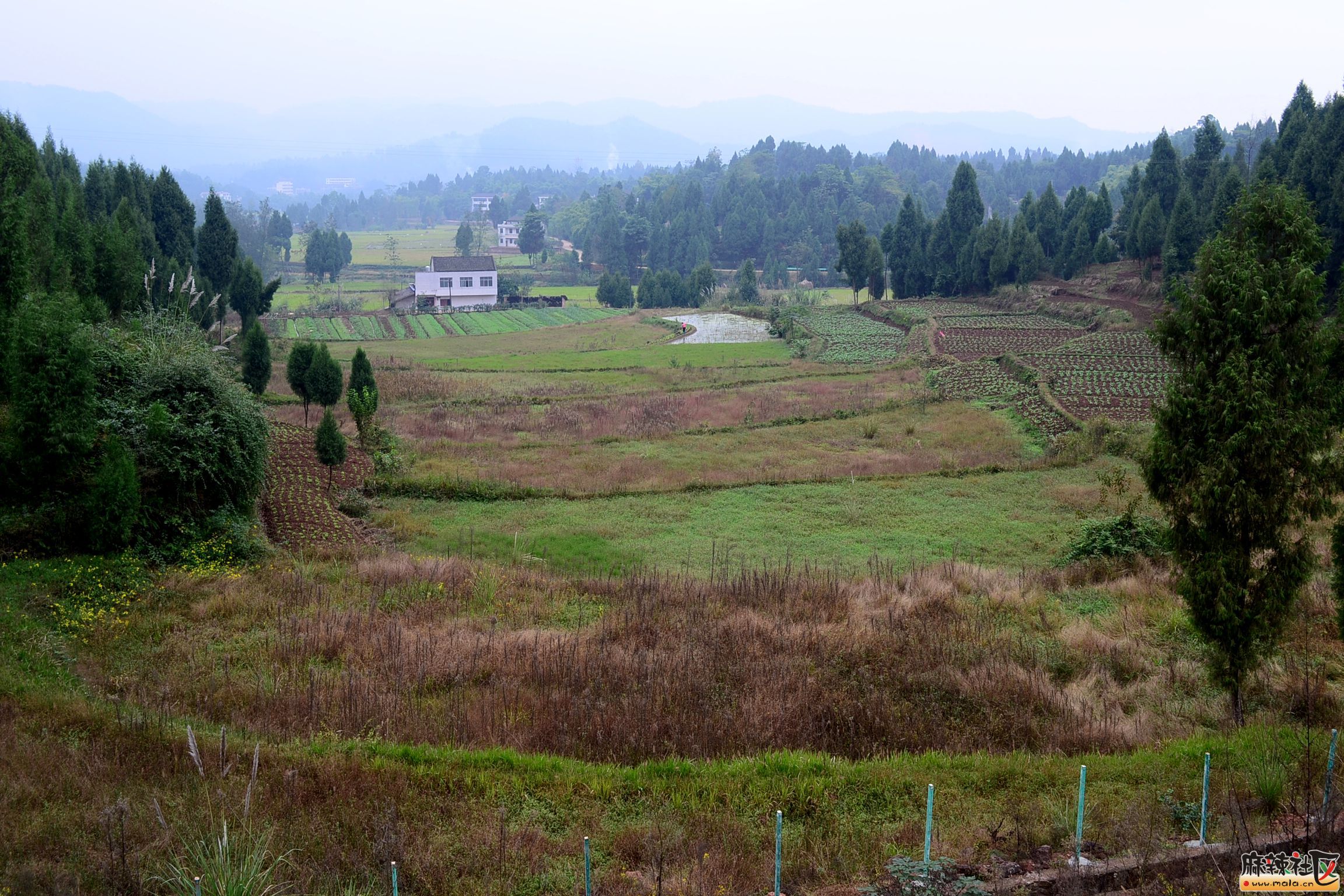DSC_4127.JPG