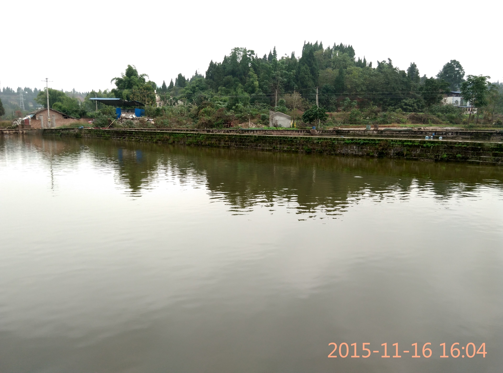 IMG_20151116_160411_HDR.jpg