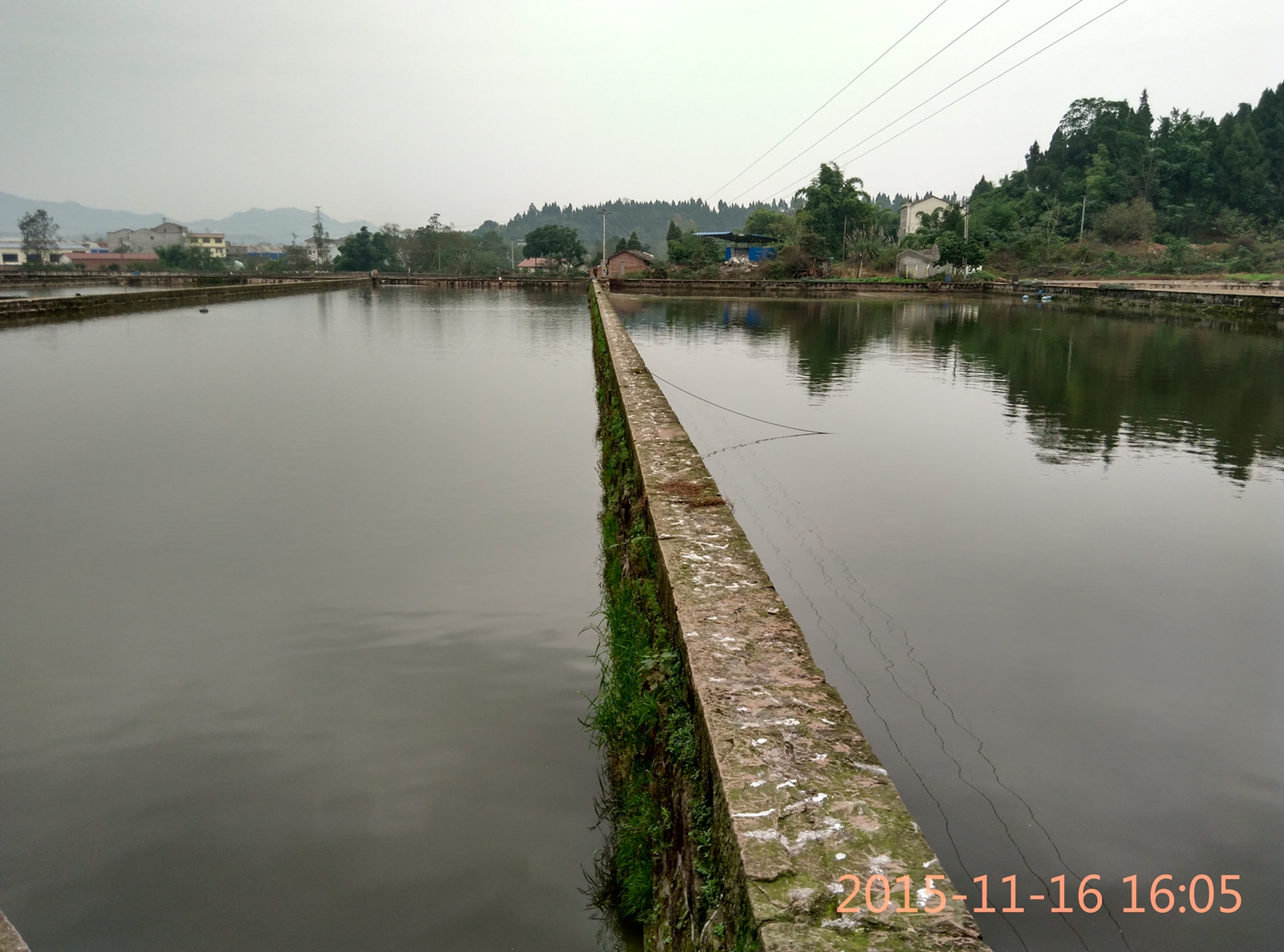 IMG_20151116_160556_HDR.jpg