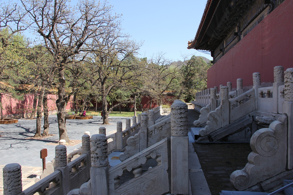 IMG_0641ĵŵ.JPG