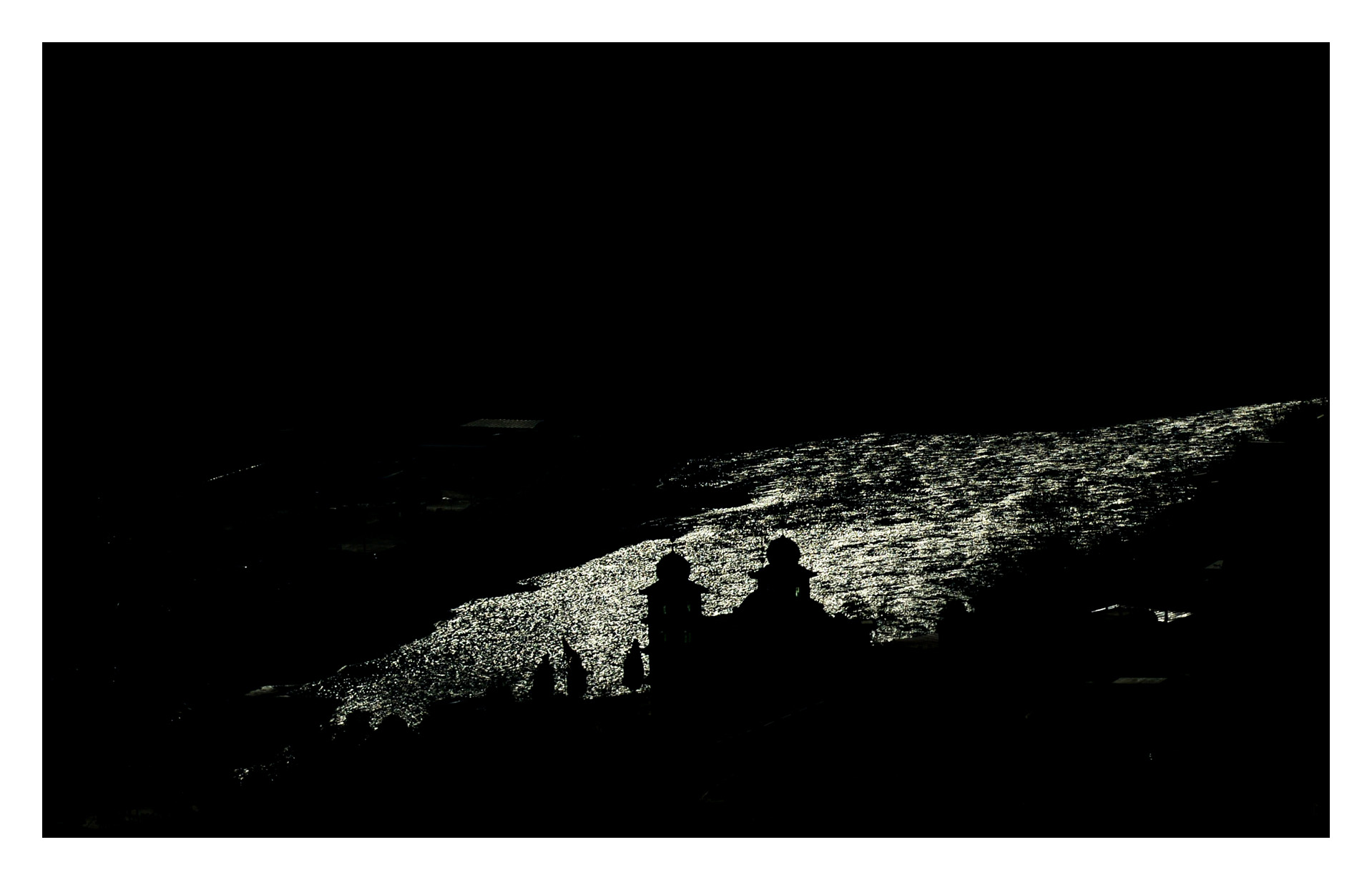 DSC_9501_.jpg