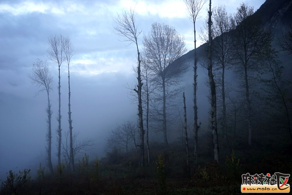 DSC03078_.jpg