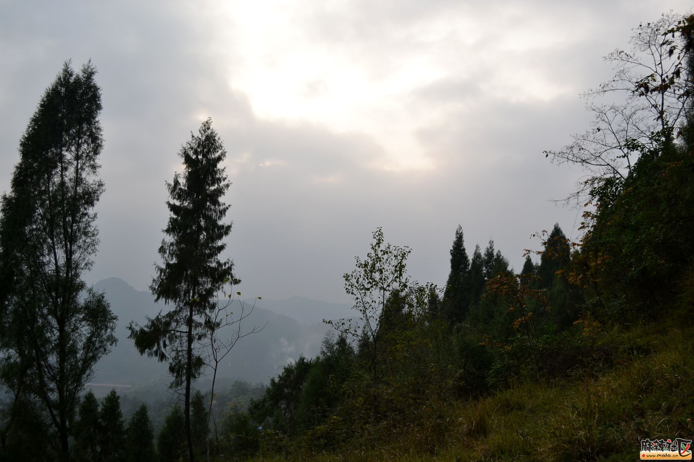DSC_4263.JPG