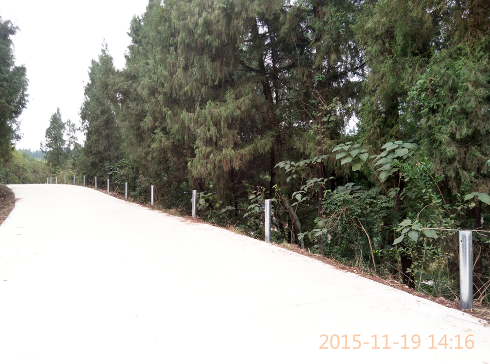 IMG_20151119_141636_HDR.jpg