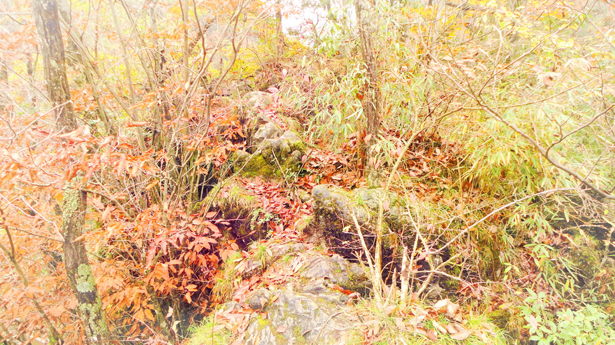 DSC01348.JPG