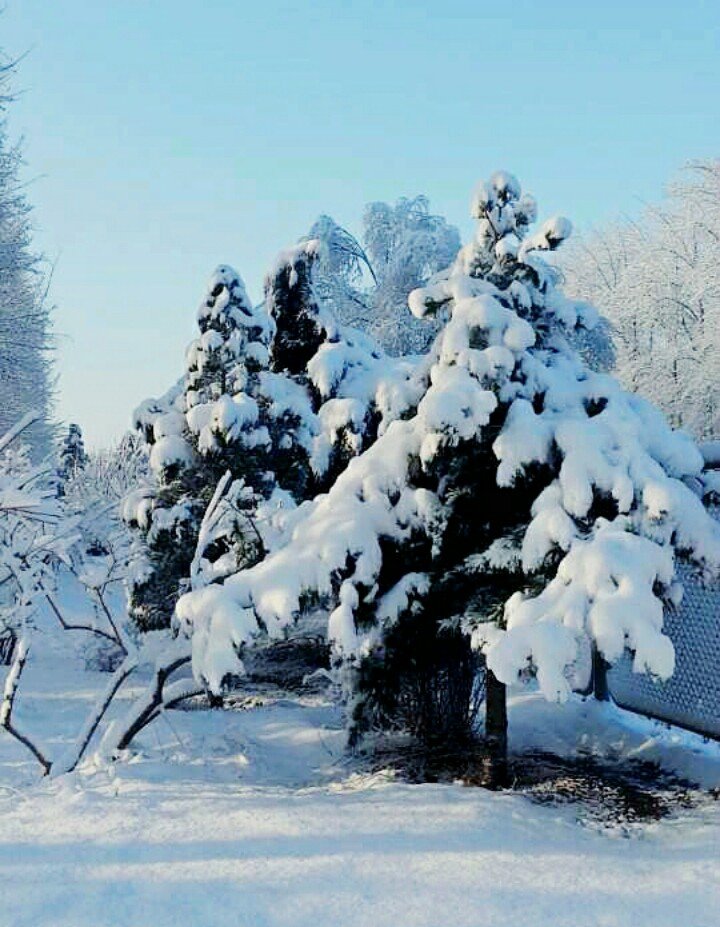 燕山雪花大如席,片片吹落轩辕台