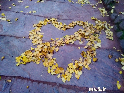 img1448166523143.jpg