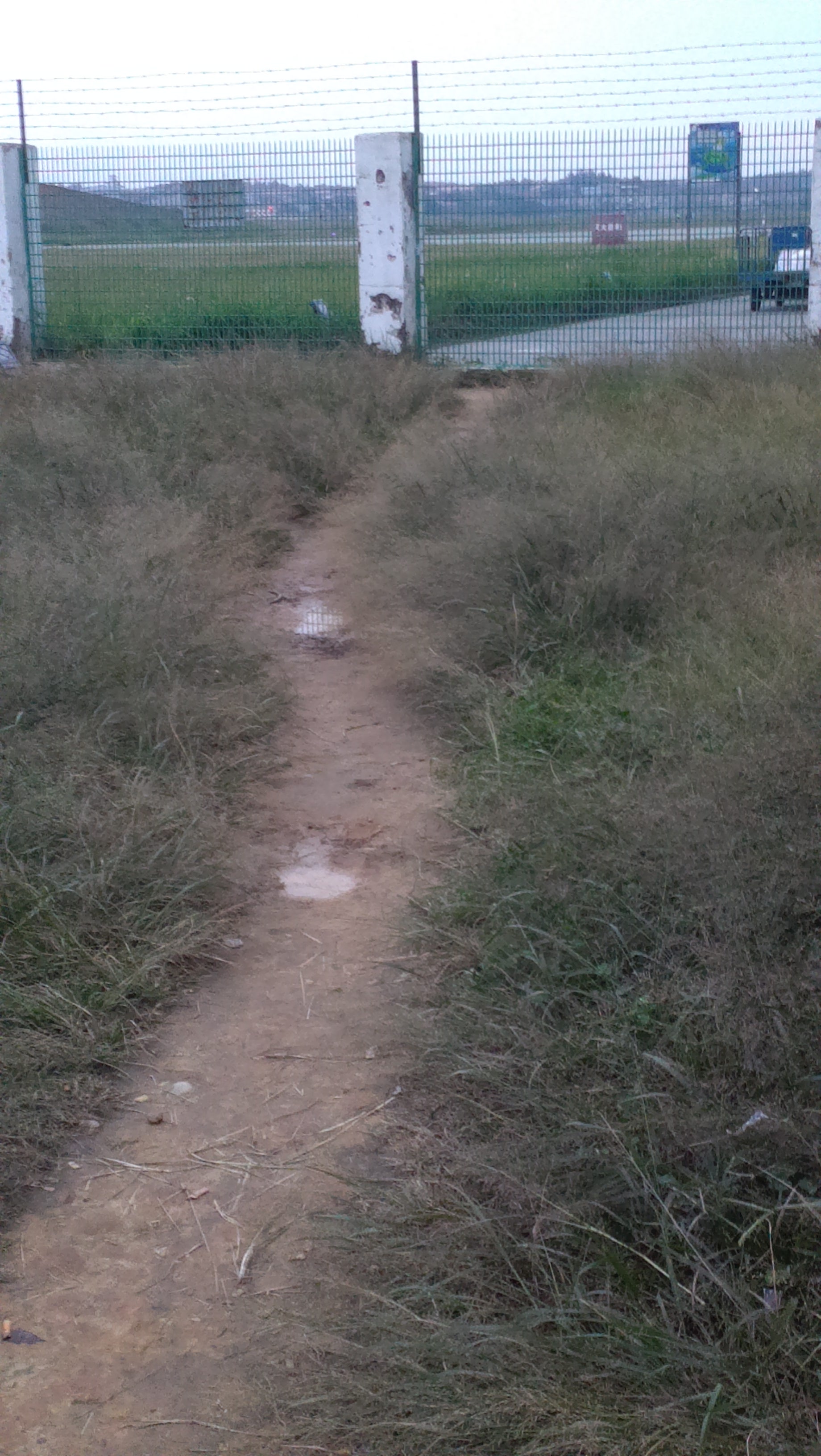 IMAG0005.jpg