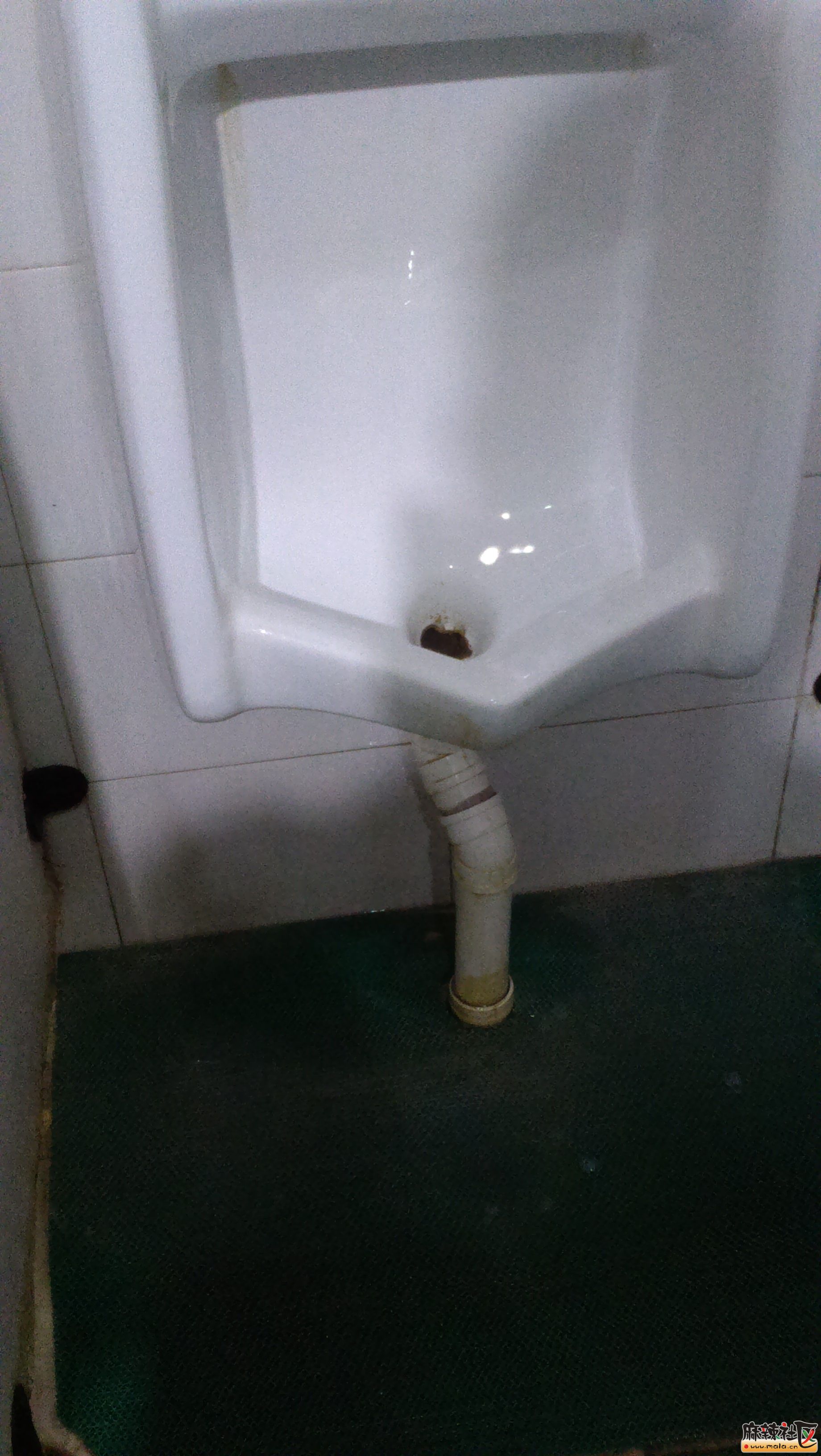 IMAG0035.jpg