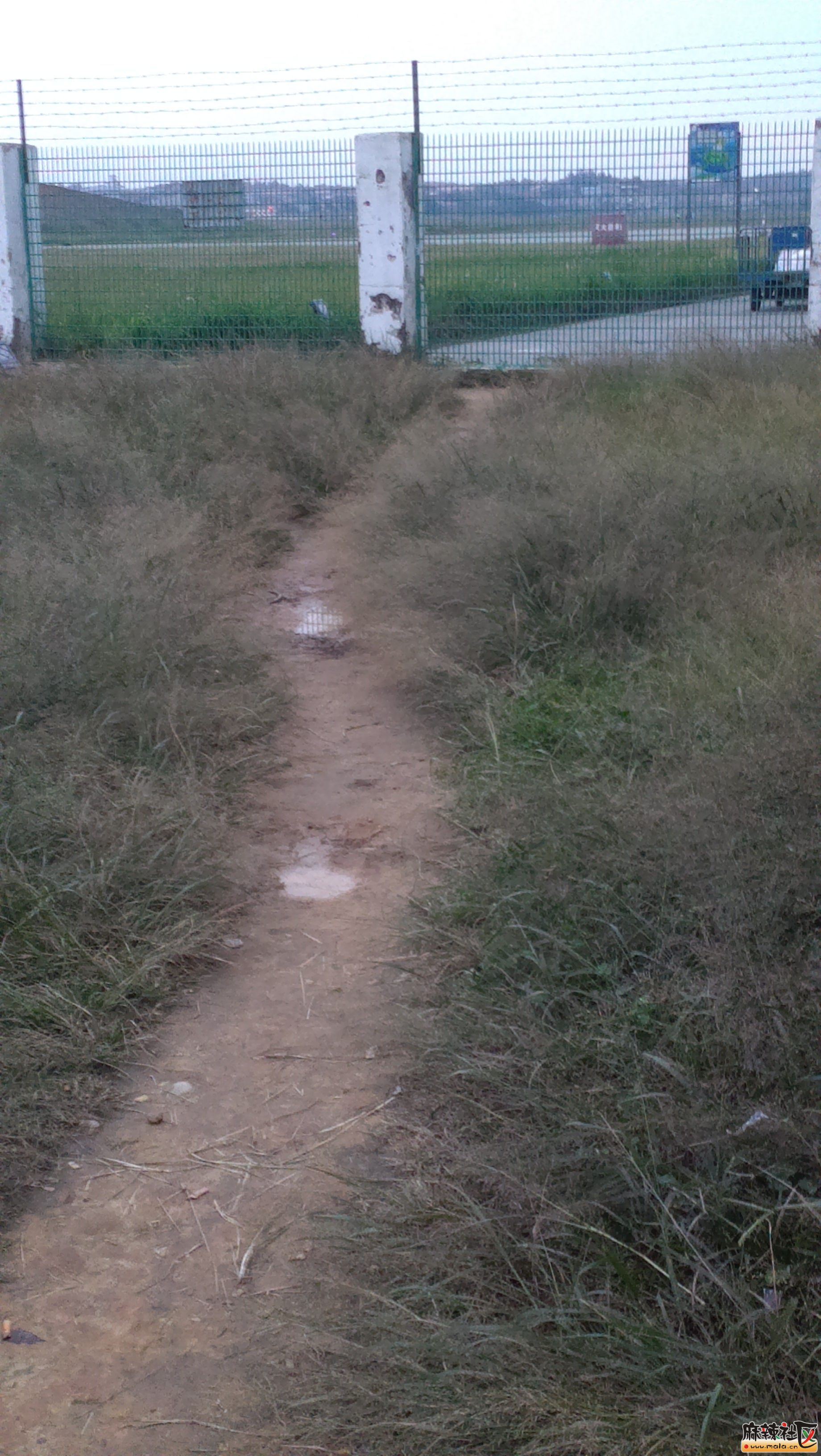 IMAG0005.jpg