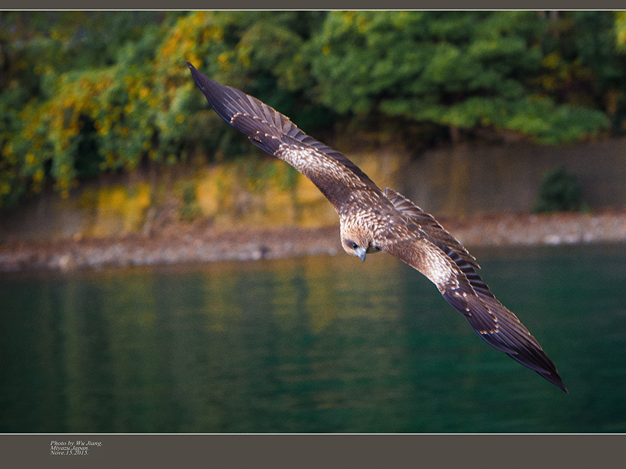 DSC_4888-2.jpg