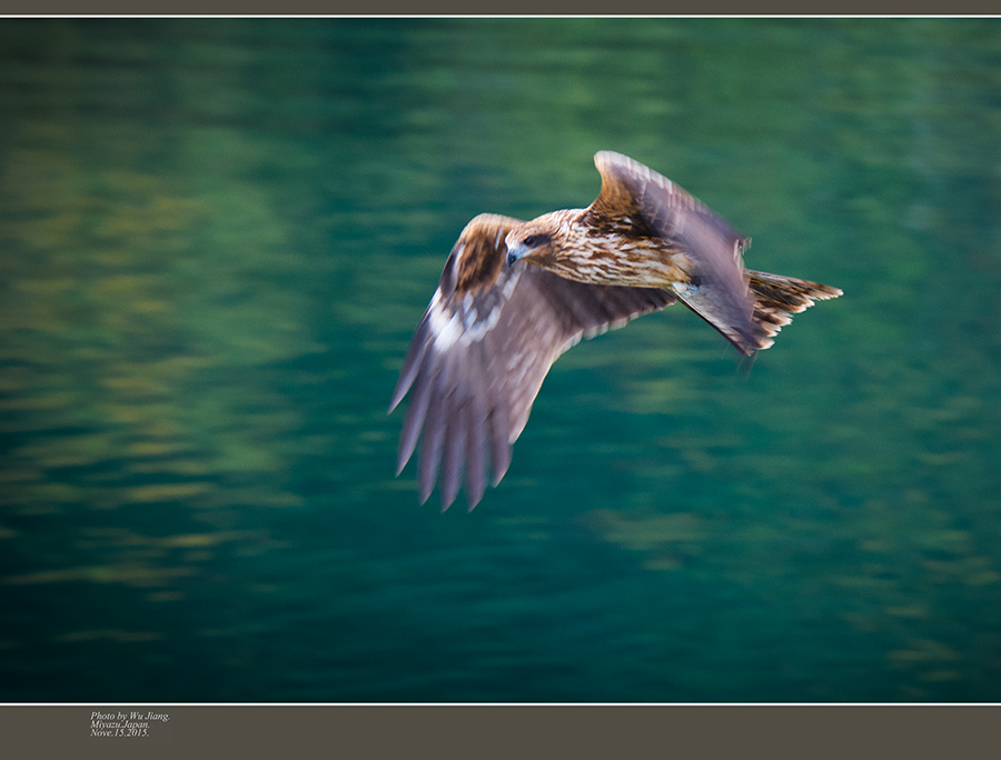 DSC_4886-2.jpg