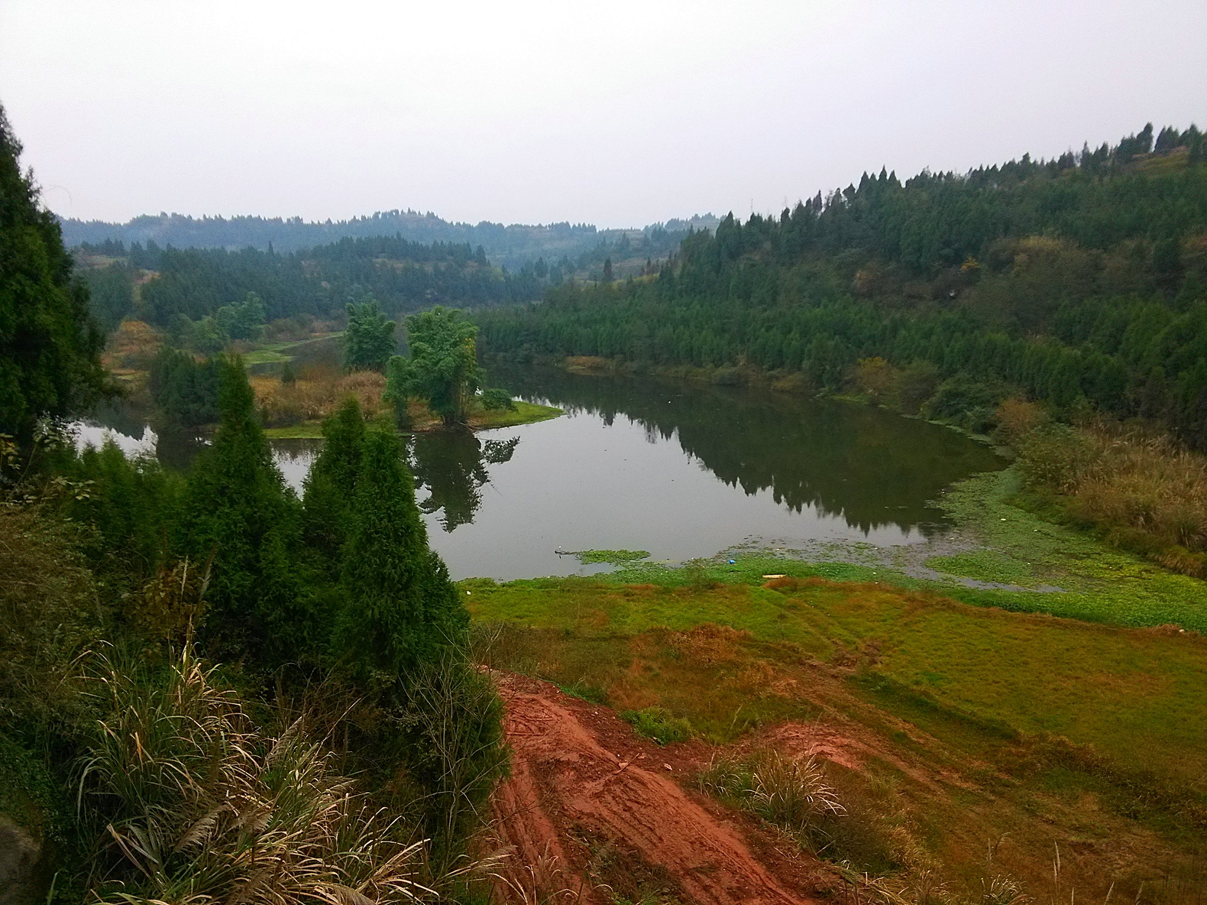 几张忙里偷闲拍的南充芦溪照片-营山论坛-麻辣社区-四川第一网络社区