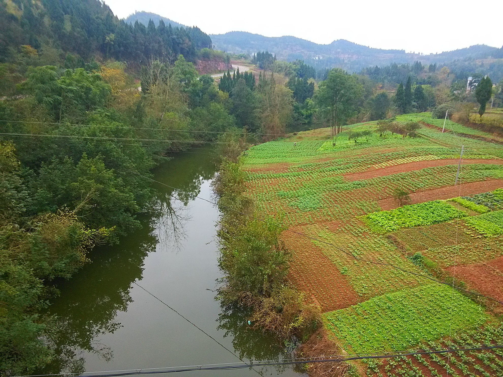 几张忙里偷闲拍的南充芦溪照片-营山论坛-麻辣社区 四川第一网络社区