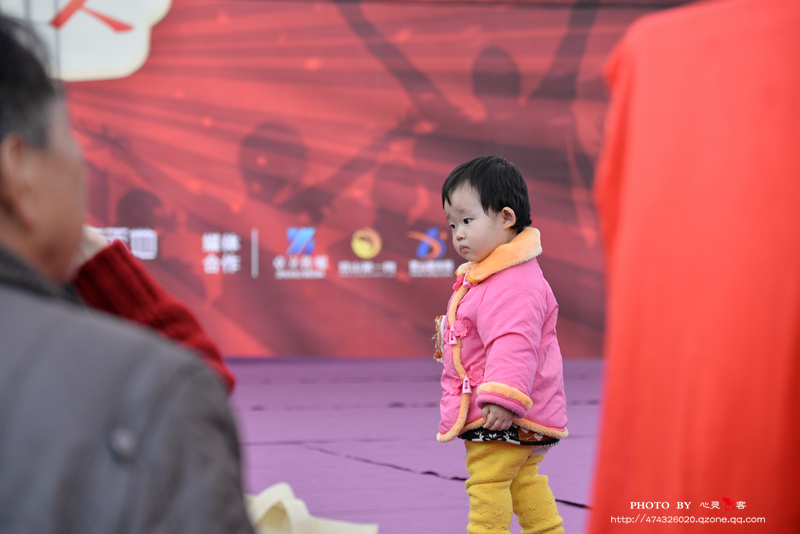 DSC_2771.jpg