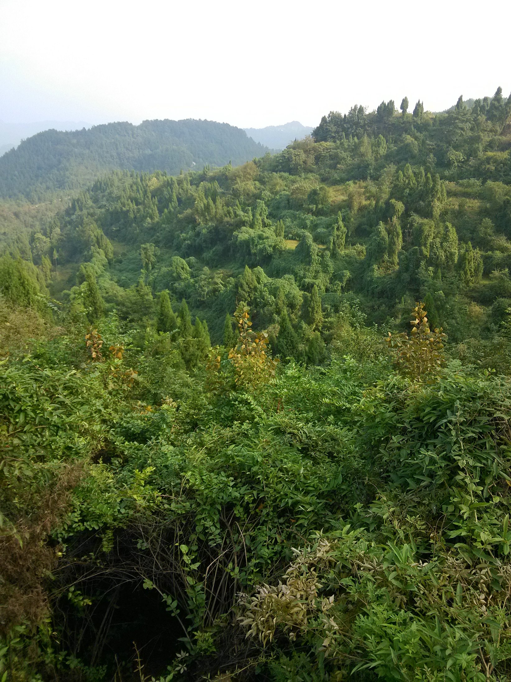 IMG_20141005_160247.jpg