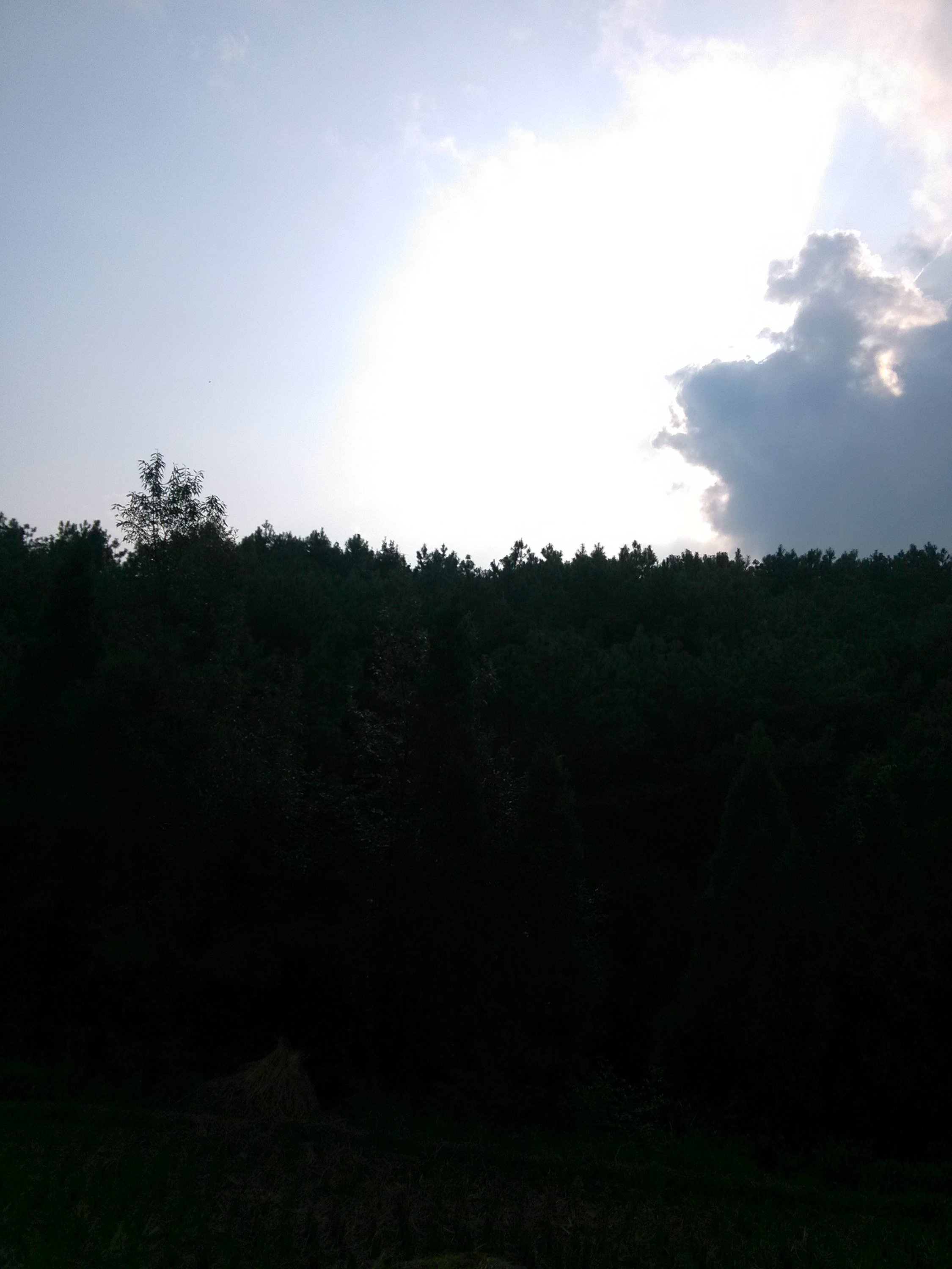 IMG_20141005_162201.jpg
