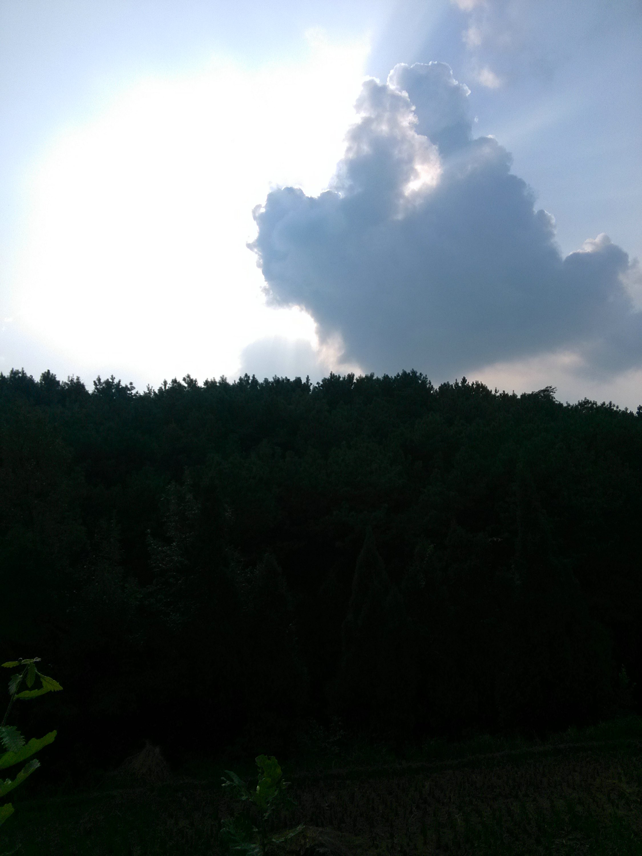 IMG_20141005_162341.jpg