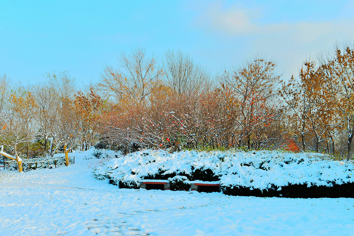 DSC_5147.jpg