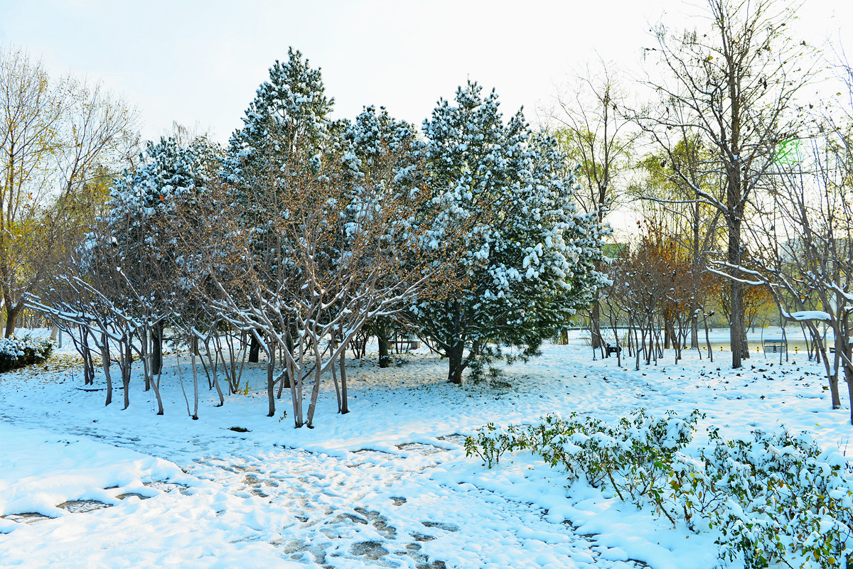 DSC_5154.jpg