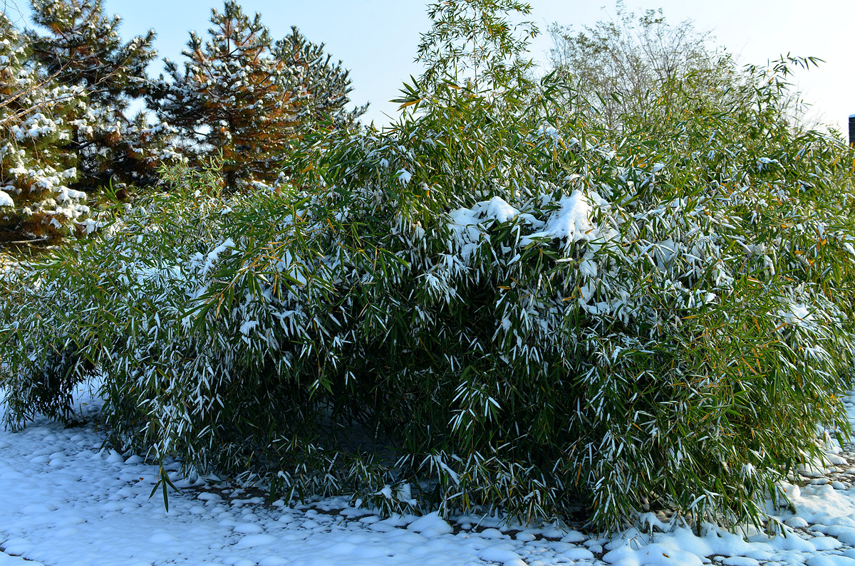 DSC_5158.jpg