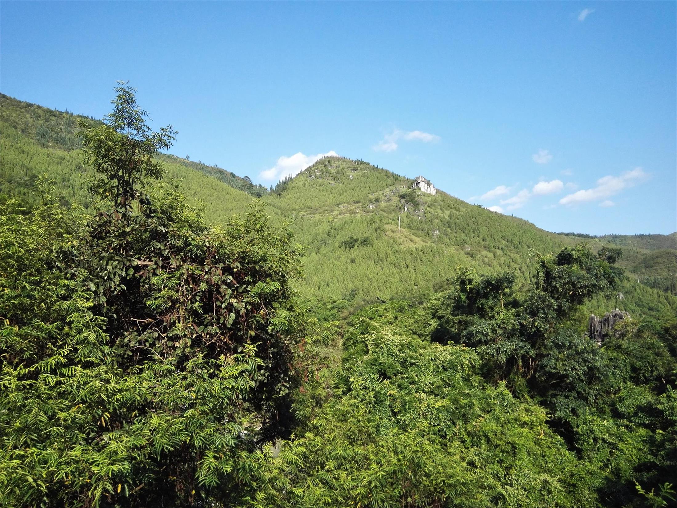 IMG_20150813_172411.jpg