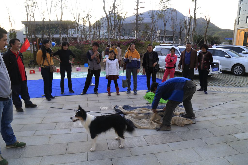 _MG_0242_.jpg