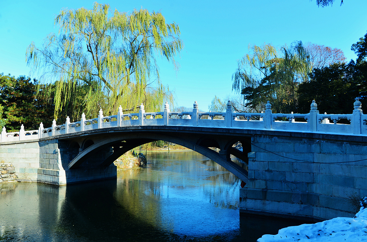 DSC_5411.jpg