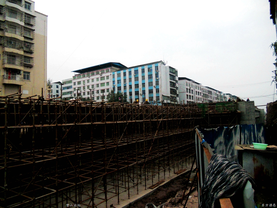 05.jpg