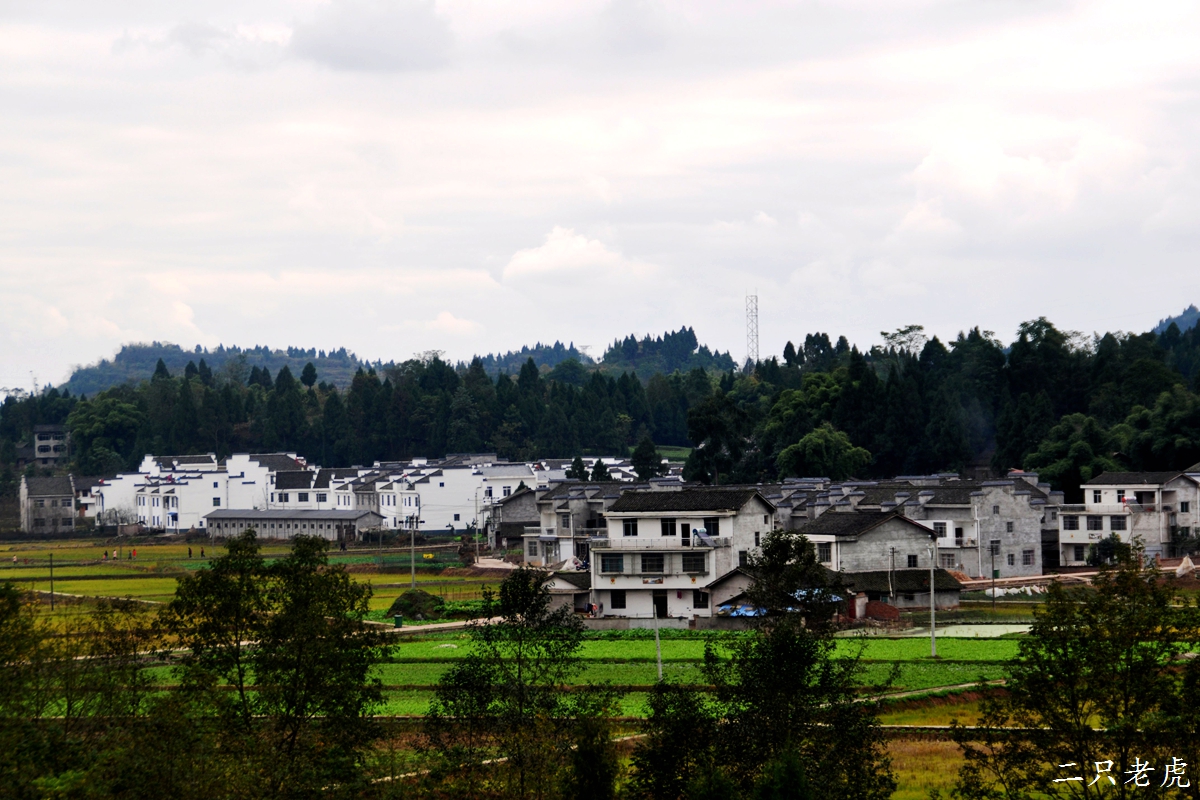 DSC_0264.JPG