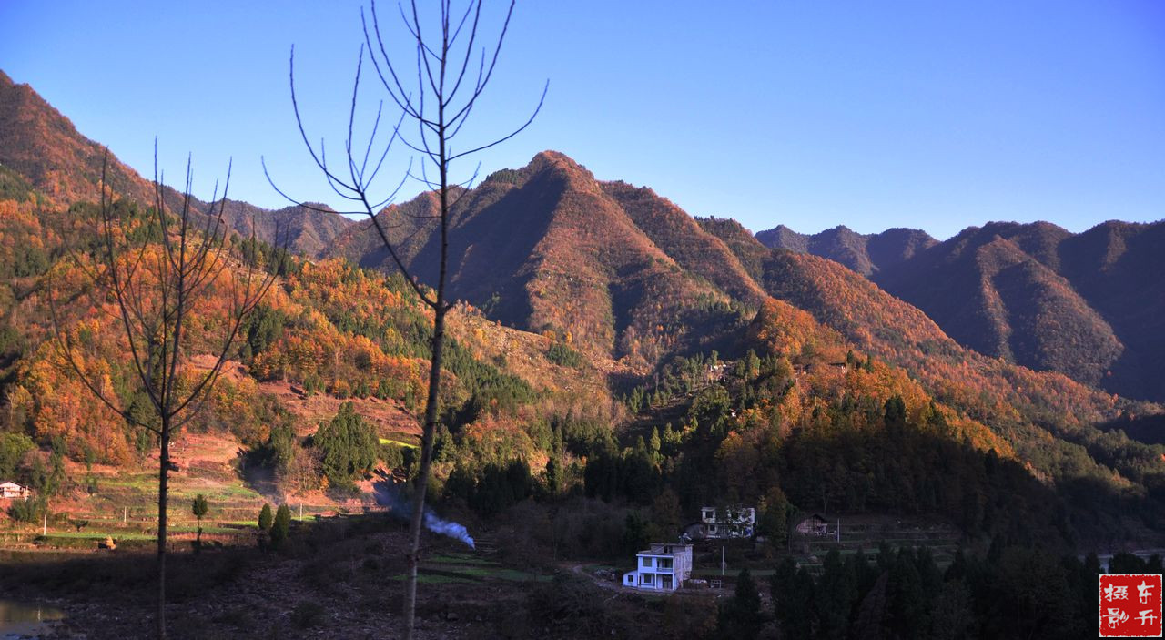DSC_0852.JPG
