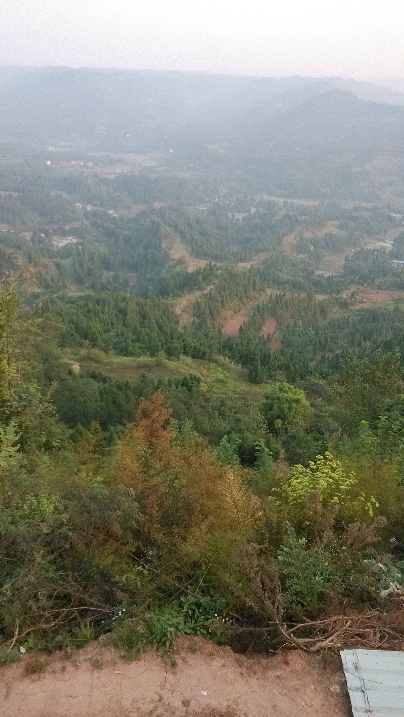 IMG_20131013_173352.jpg