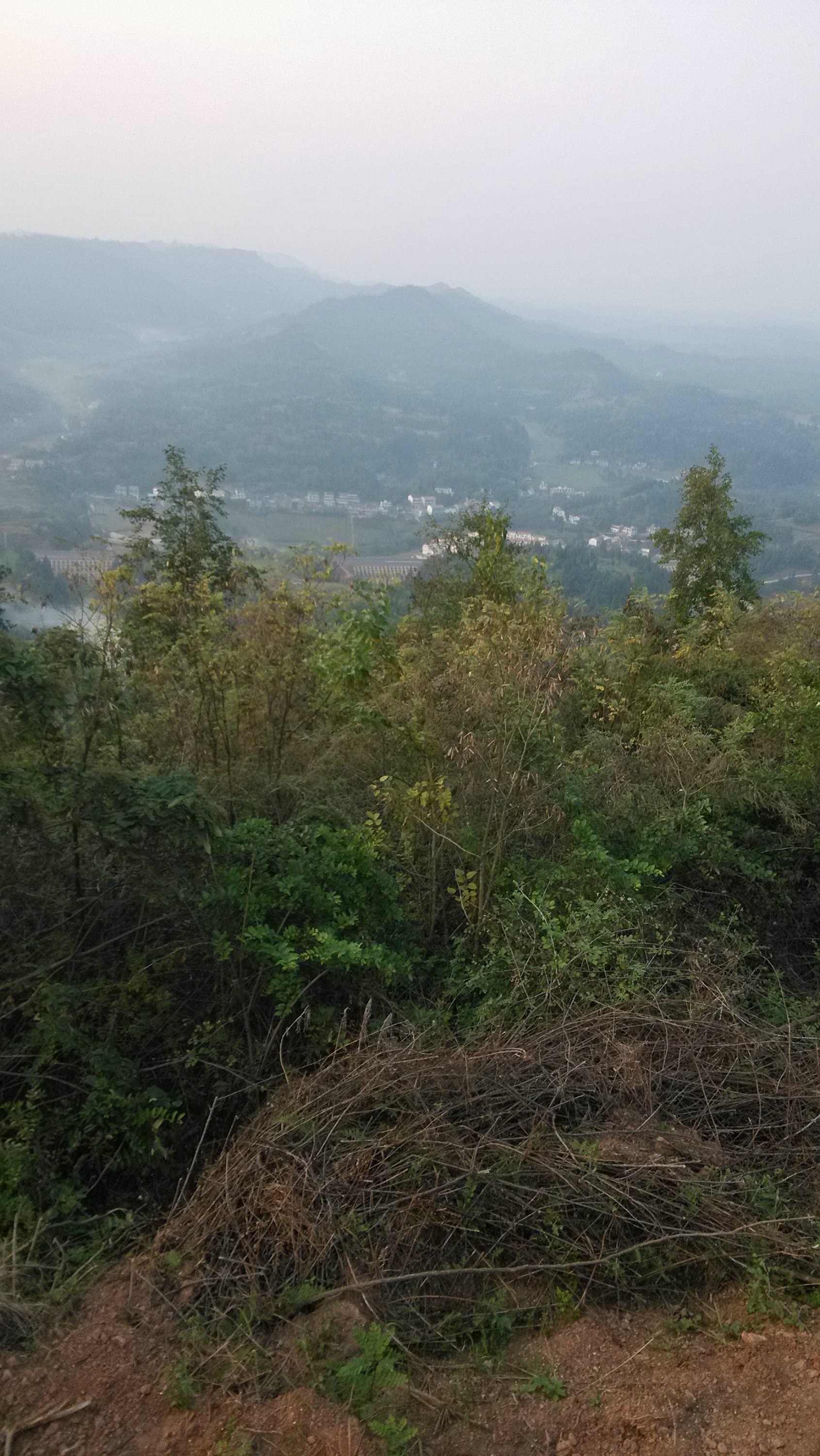IMG_20131013_174415.jpg