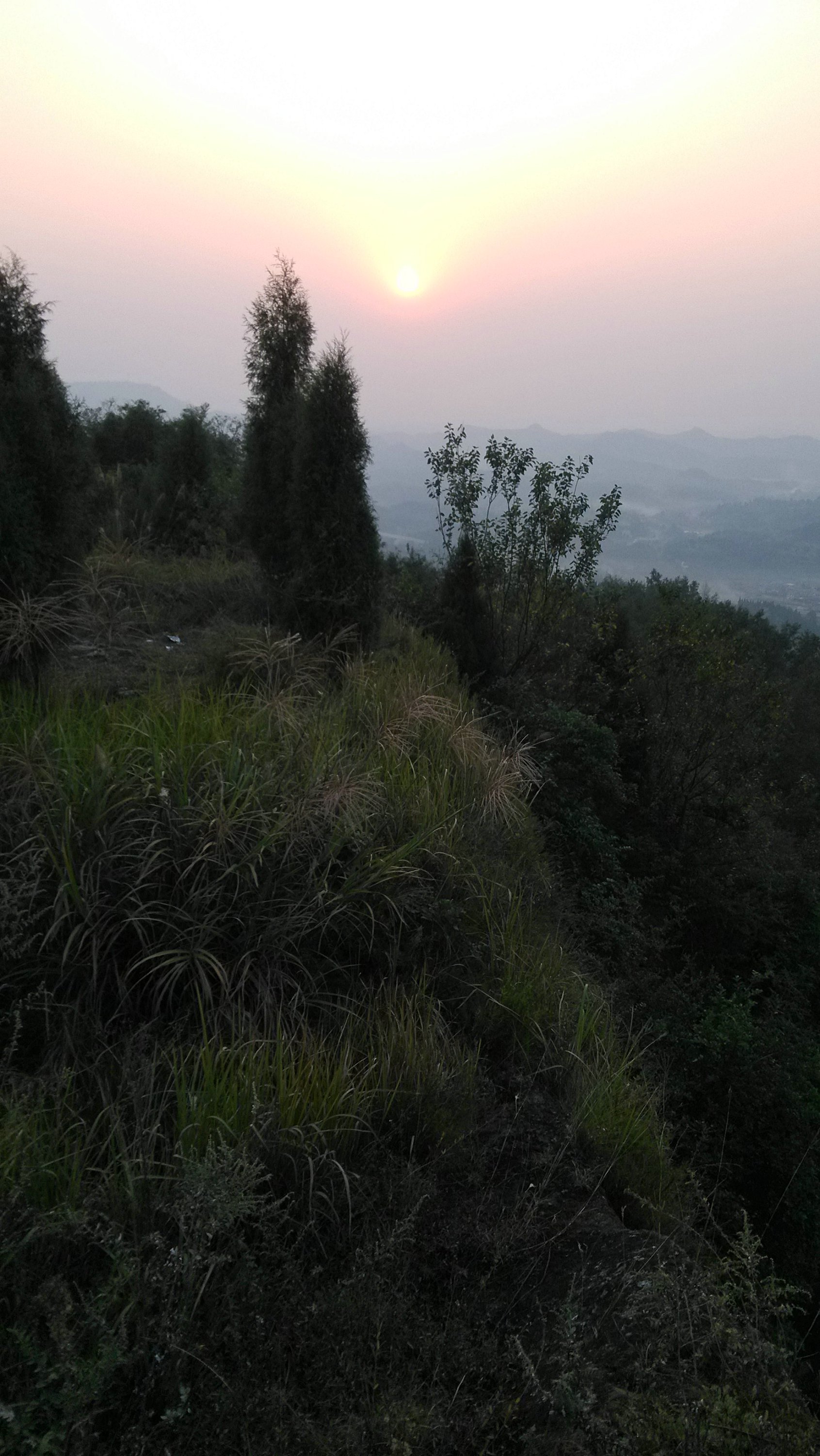 IMG_20131013_175627.jpg
